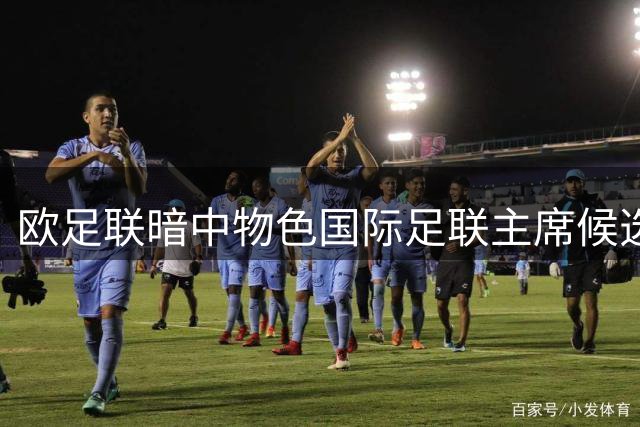 欧足联暗中物色国际足联主席候选人 大巴黎主席成理想人选却无意出山