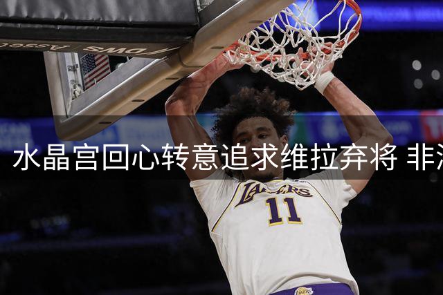 水晶宫回心转意追求维拉弃将 非洲前锋成英超夏窗新变数