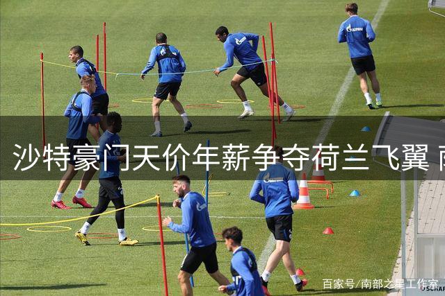 沙特豪门天价年薪争夺荷兰飞翼 萨默维尔或成亚洲足坛新标王