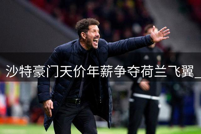 沙特豪门天价年薪争夺荷兰飞翼 萨默维尔或成亚洲足坛新标王