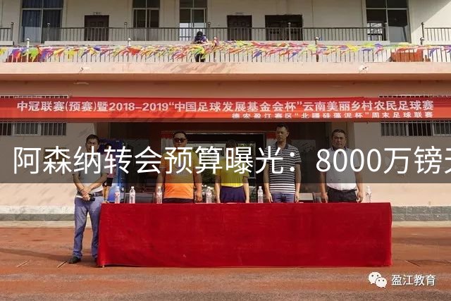 阿森纳转会预算曝光：8000万镑天花板难破，巴尔科拉天价恐难圆